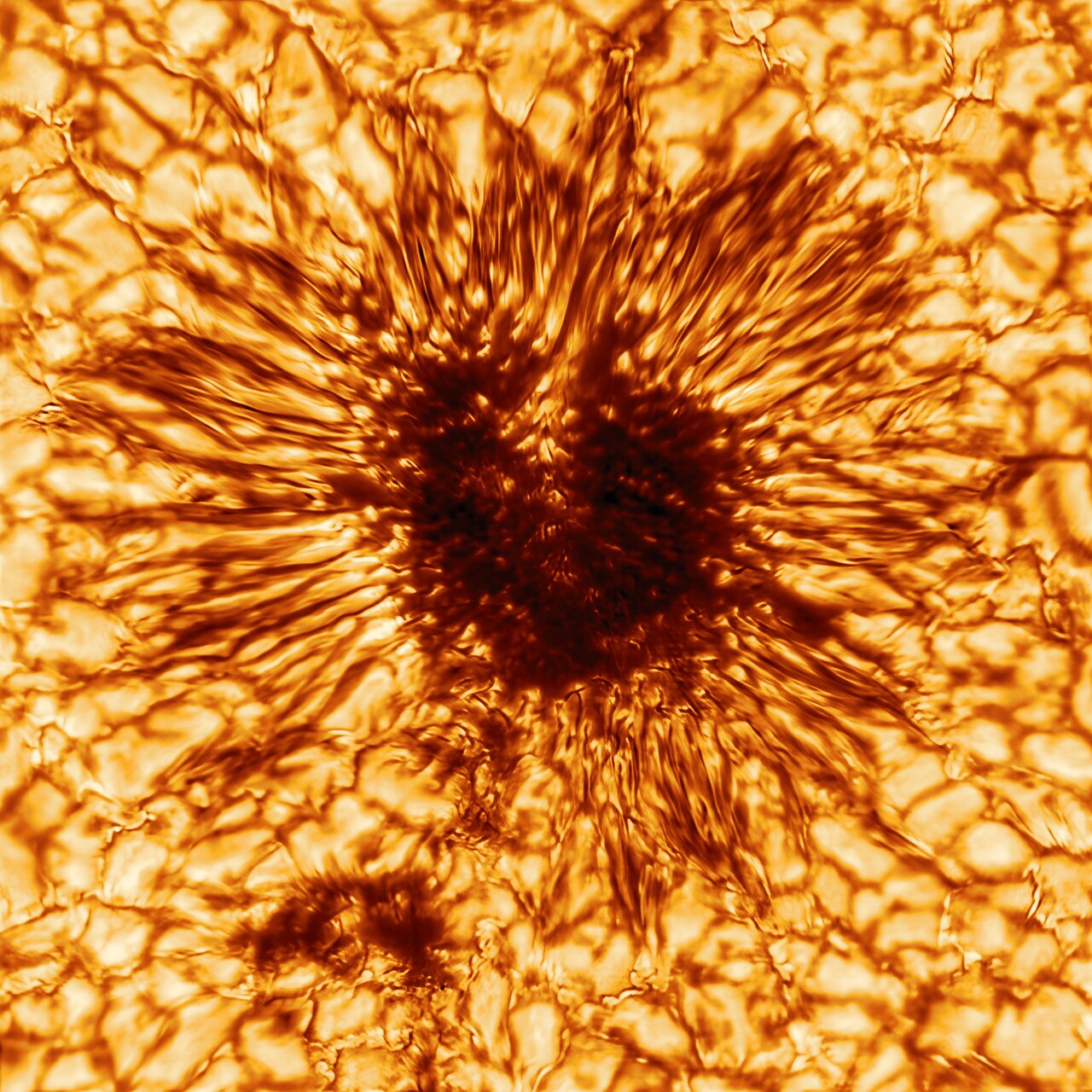 NSO-DKIST-first-sunspot.jpg