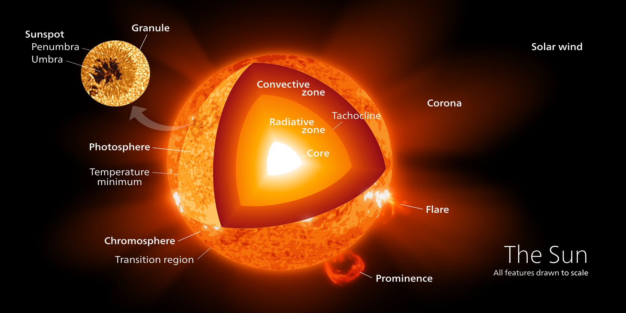 Sun_poster.png
